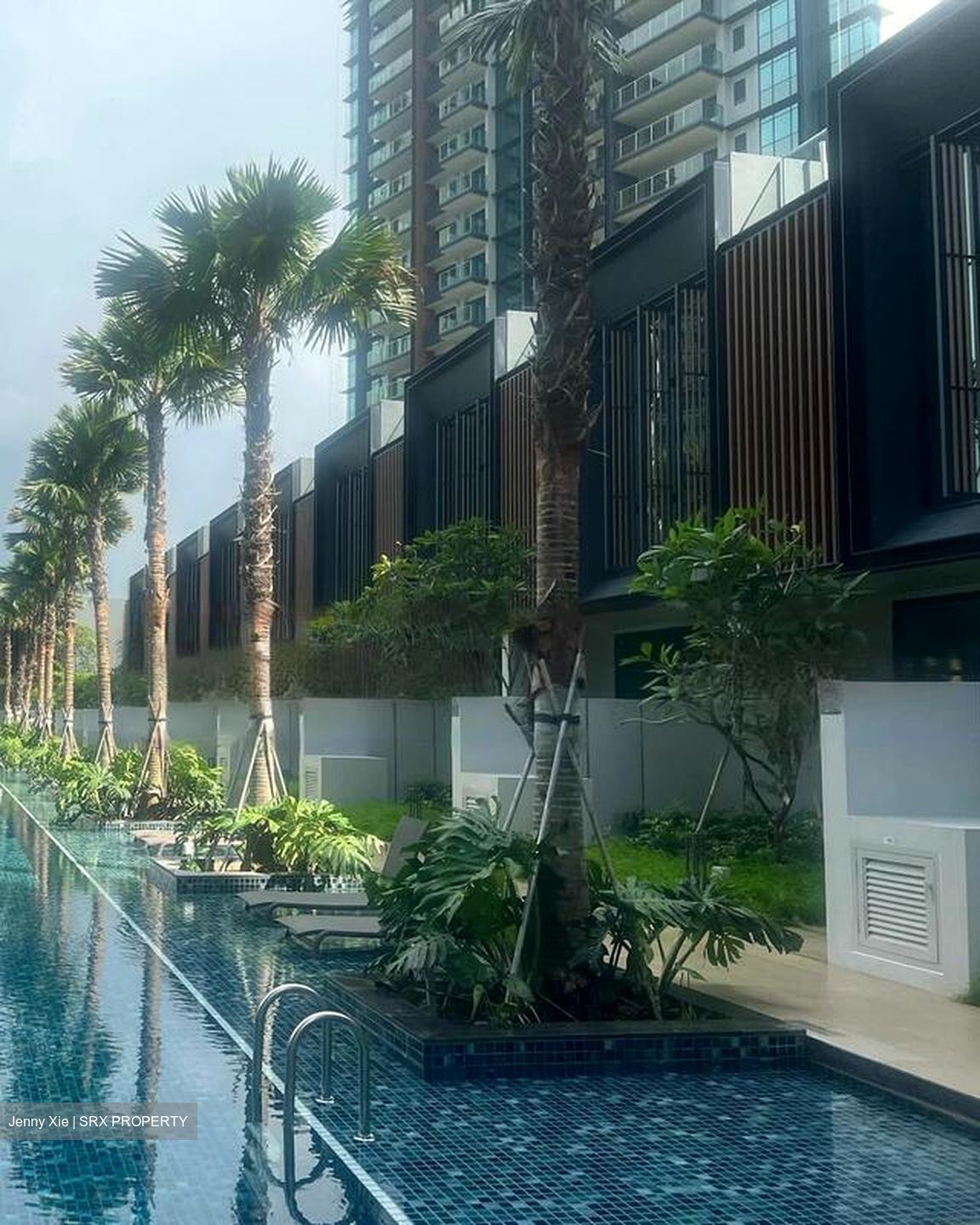 Normanton Park (D5), Apartment #503407801